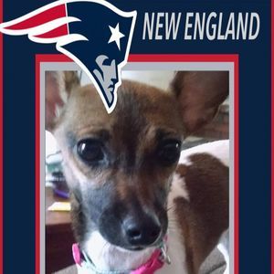 Meet your Posher, Terri